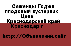 Саженцы Годжи (плодовый кустарник) › Цена ­ 100 - Краснодарский край, Краснодар г.  »    